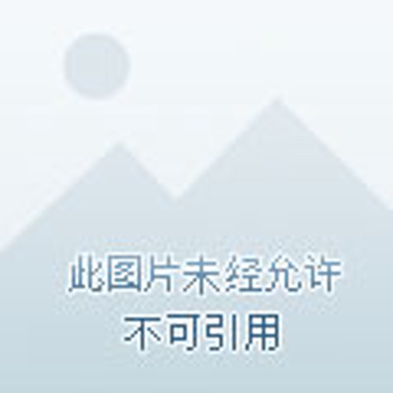 水泥行业最新动态:绿色转型与市场需求
